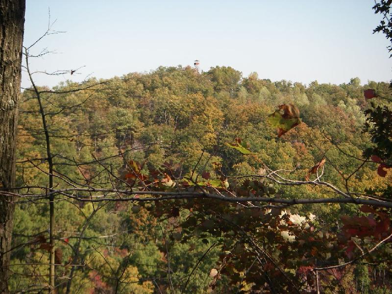 shawnee-day2-31.JPG - The fire lookout zoomed in.