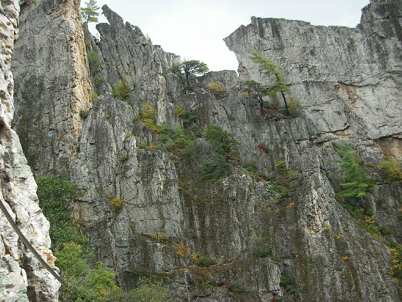 nelson-via-36.JPG - Suspension bridge at left of photo with person crossing.