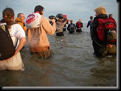 wadlopen_15 * 06.01.2008 * 1235 x 926 * (165KB)