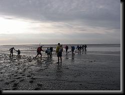 wadlopen_27 * 06.01.2008 * 1235 x 926 * (169KB)