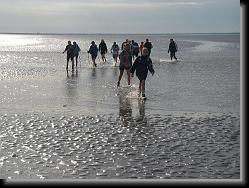 wadlopen_maartens_8 * 09.01.2008 * 1235 x 926 * (207KB)